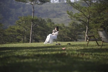 Khách ồ ạt kiếm phòng ở Đà Nẵng, Đà Lạt dịp 30/4